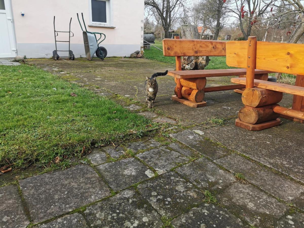 Villa Wellness Oase Auf Dem Land Buttstadt Exterior foto
